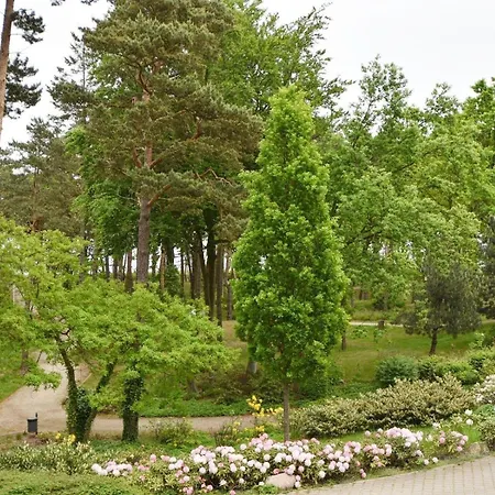 Apartment In Ostseebad Baabe